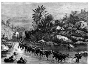 Voyage en Griqualand, Afrique du Sud, c1890