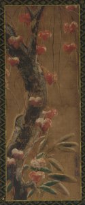 Arbre, vigne d