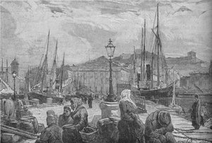 Port de Trieste, 1902