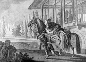 Cheval arabe du pacha turc, 1722