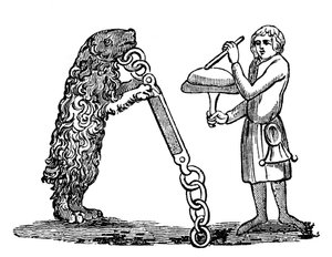 Ours dressé, 14ème siècle