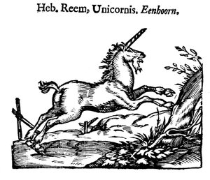 Licorne, 1644