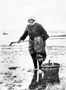 Royaume-Uni : Une vieille dame ramassant des coques sur le rivage. c1890