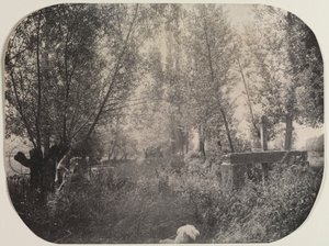 Paysage sans titre avec chien, vers 1910 - Unbekannt