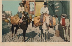 Hommes de légumes, La Havane, Cuba, 1904
