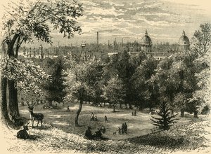 Vue dans le parc de Greenwich