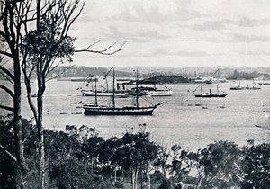 Vue du port de Sydney depuis North Shore, n° 1, vers 1900