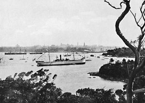 Vue du port de Sydney depuis North Shore, n° 2, vers 1900 - Unbekannt