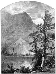 Vue d