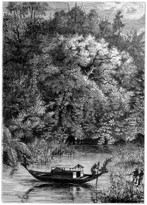 Vue sur la rivière Dodinga, Nouvelle-Guinée