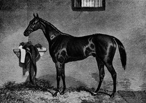 Voltigeur, 1847-1874, 1911 - Unbekannt