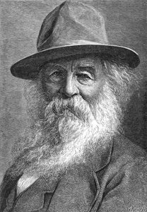 Walt Whitman 1819-1892, poète américain, vers 1880s
