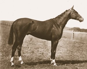 Girouette, 1911