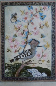 Huppe / miniature indienne - Unbekannt