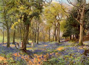 Jacinthes sauvages dans un bosquet du Surrey, 1906
