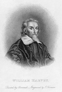 William Harvey 1578-1657, médecin anglais, XVIIe siècle