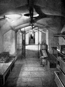 Caves à vin de la Chambre des communes, Westminster, c1905