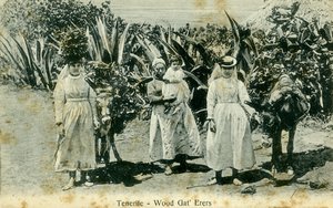 Ramasseurs de bois, Tenerife, Îles Canaries, début du 20e siècle