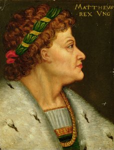 Mathias Ier, Hunyadi