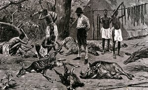 Un grand jour de chasse ! 1900