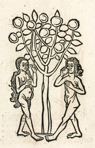 Adam et Ève sous l