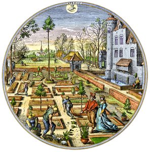 Agriculture : Jardinage dans un potager européen au début du printemps vers 1590. Gravure en couleur du 16ème siècle - Unbekannter Künstler