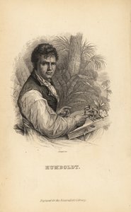 Alexander von Humboldt, explorateur, naturaliste et botaniste allemand - Unbekannt
