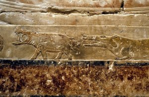 Saqqarah : tombeau de Ti (détail)