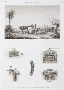 Irrigation par la force animale, Égypte, vers 1798