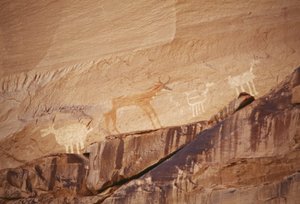 Figures animales, peintures rupestres par des artistes Navajo, Canyon de Chelly National Monument, Réserve indienne Navajo, Arizona, USA