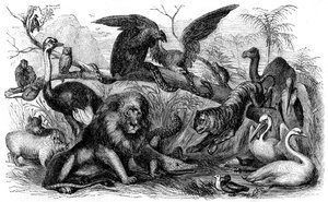 Animaux interdits à la consommation par les Israélites - Bible