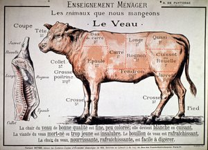 Les animaux que nous mangeons : le veau, vers 1910