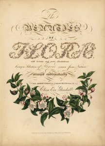 Page de titre calligraphique avec vignette botanique