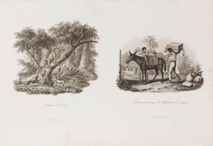 Chasse de l