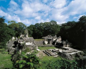 Civilisation précolombienne : vue du site Maya de Uaxactun - Alec Hunter