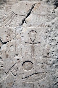 Coptos, fragment du temple de Sésostris Ier (détail)