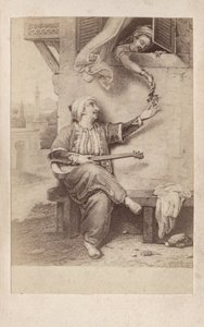 Courtiser