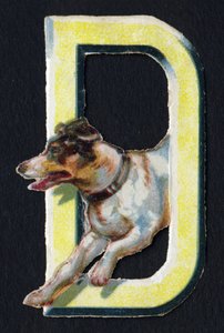 D comme Chien. Découpis de coléoptères sur le thème des animaux. Gravure. Série de 26 chromolithographies gaufrées d