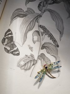 Bijoux d