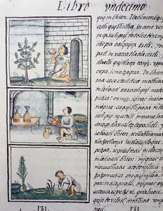Plantes comestibles, page du Livre XI du Codex Florentin