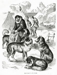 Esquimaux et chiens. 1902 (lithographie)