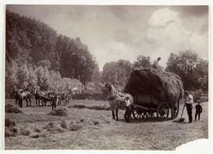 Scènes agricoles, récolte et stockage, avant 1900 Fenaison, vers 1890 - Unbekannt