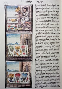 Traitement des plumes après la conquête espagnole, page du Codex Florentin