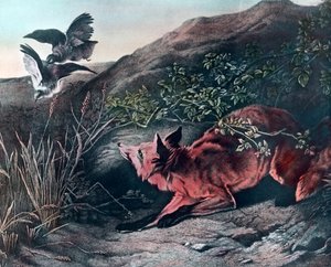 Renard - Unbekannter Künstler