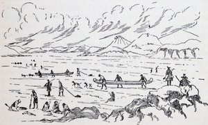 Expédition de Franklin vers la mer polaire sur la glace - Unbekannter Künstler