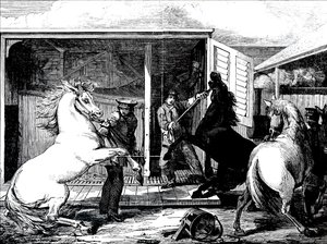 Chevaux à la gare de Gloucester