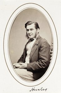 Huxley, vers 1865 - Unbekannt