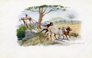 Élévateur à eau indien