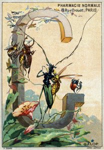 Lettre G comme galop. Alphabet artistique de M. Marinier. Édité par Henry Sicard, fin 19ème siècle. Chromolithographies publicitaires pour des produits vendus en pharmacie. Dim : 12,5 x 9 cm - Unbekannt