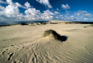 Lituanie, Klaipeda, Isthme de Courlande, Nida, dunes de sable mouvantes appelées Sahara prussien